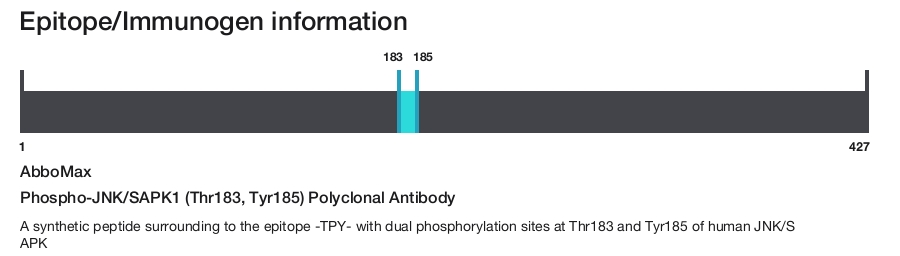 Phospho-JNK/SAPK1 (Thr183, Tyr185) Polyclonal Antibody