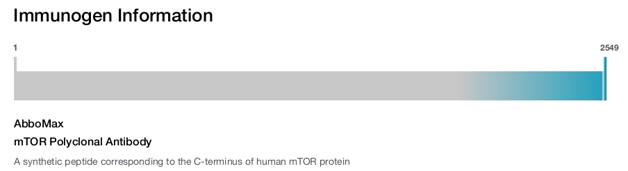 mTOR Polyclonal Antibody
