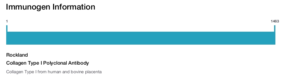 Collagen Type I Polyclonal Antibody