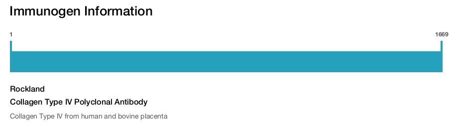 Collagen Type IV Polyclonal Antibody