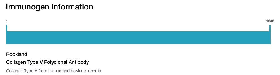 Collagen Type V Polyclonal Antibody