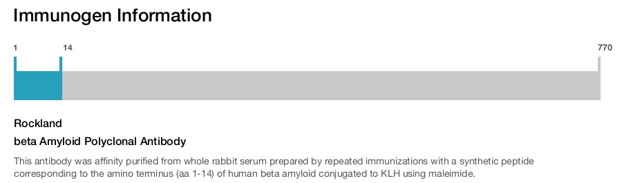 beta Amyloid Polyclonal Antibody