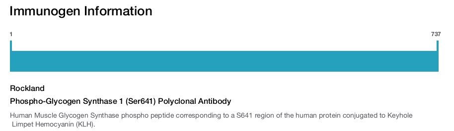Phospho-Glycogen Synthase 1 (Ser641) Polyclonal Antibody