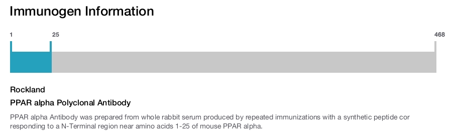 PPAR alpha Polyclonal Antibody