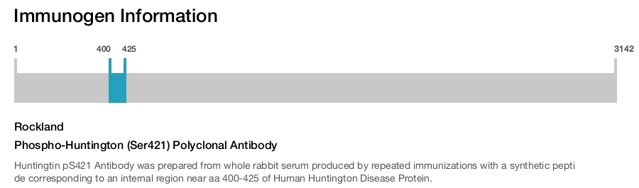 Phospho-Huntington (Ser421) Polyclonal Antibody