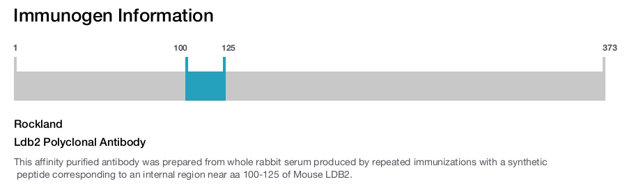 Ldb2 Polyclonal Antibody
