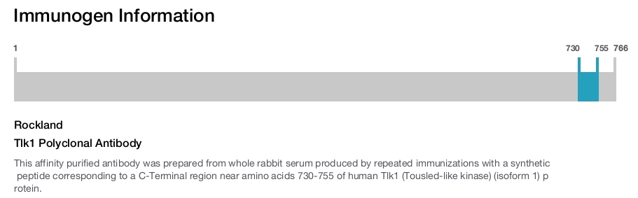 Tlk1 Polyclonal Antibody