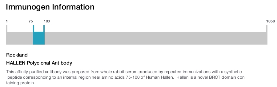 HALLEN Polyclonal Antibody