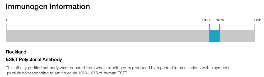 ESET Polyclonal Antibody