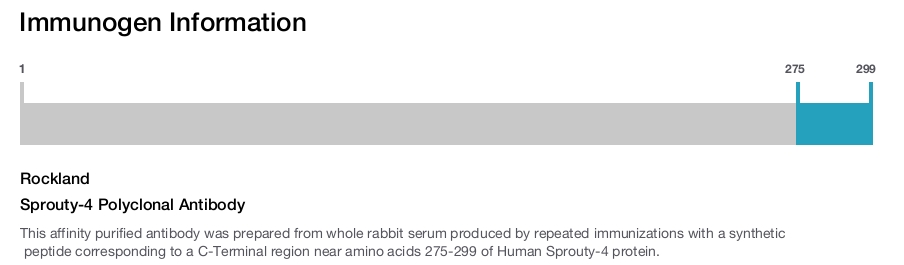 Sprouty-4 Polyclonal Antibody