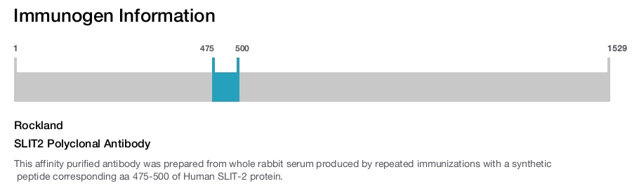 SLIT2 Polyclonal Antibody