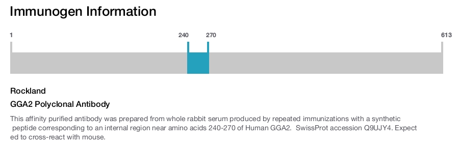GGA2 Polyclonal Antibody