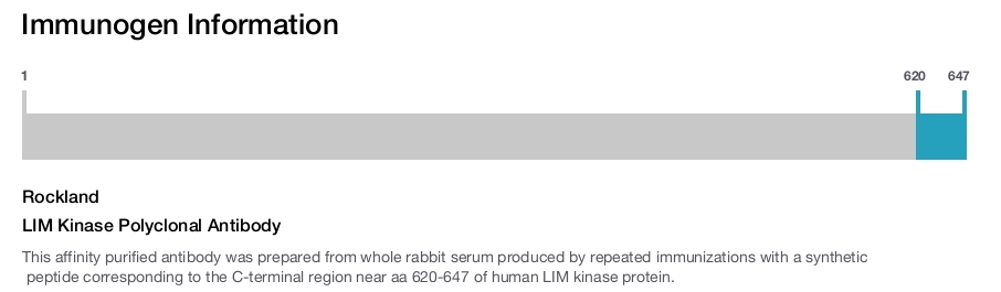 LIM Kinase Polyclonal Antibody