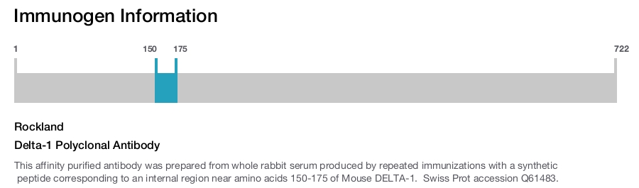 Delta-1 Polyclonal Antibody