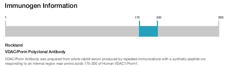 VDAC/Porin Polyclonal Antibody