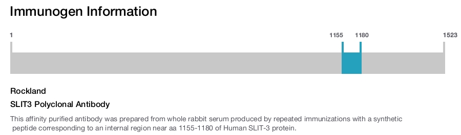 SLIT3 Polyclonal Antibody