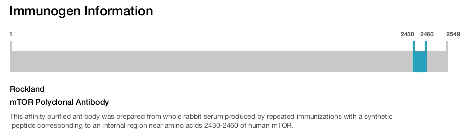 mTOR Polyclonal Antibody