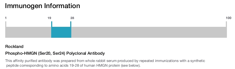 Phospho-HMGN (Ser20, Ser24) Polyclonal Antibody