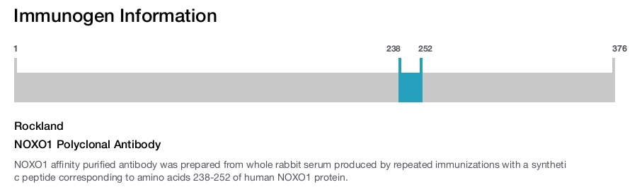 NOXO1 Polyclonal Antibody