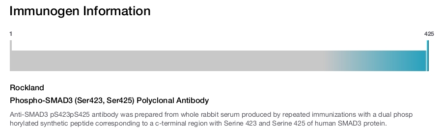 Phospho-SMAD3 (Ser423, Ser425) Polyclonal Antibody