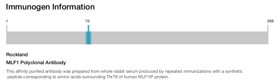 MLF1 Polyclonal Antibody