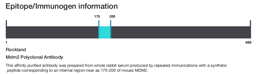Mdm2 Polyclonal Antibody