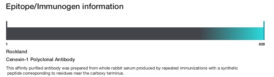 Cenexin-1 Polyclonal Antibody