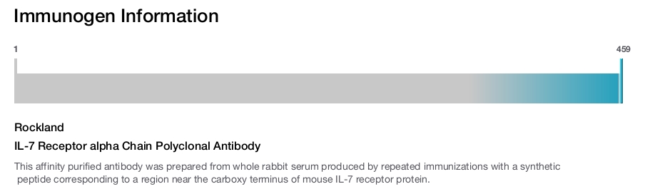 IL-7 Receptor alpha Chain Polyclonal Antibody