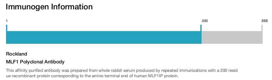 MLF1 Polyclonal Antibody