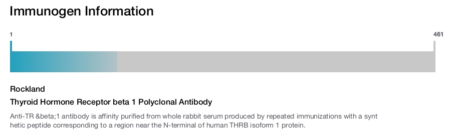 Thyroid Hormone Receptor beta 1 Polyclonal Antibody