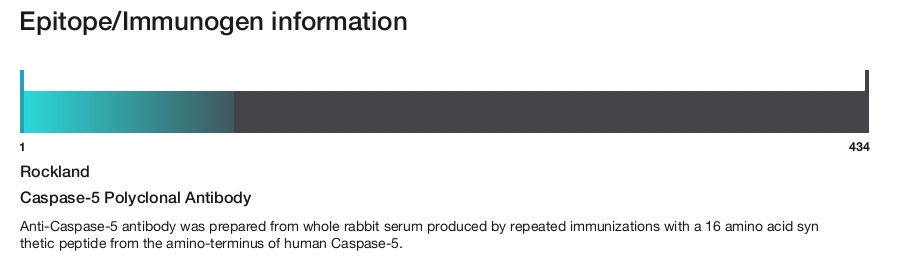 Caspase-5 Polyclonal Antibody