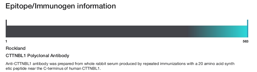 CTTNBL1 Polyclonal Antibody