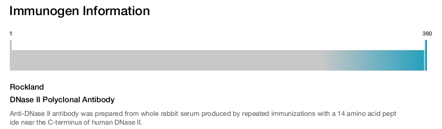 DNase II Polyclonal Antibody