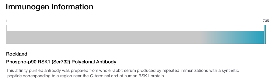 Phospho-p90 RSK1 (Ser732) Polyclonal Antibody