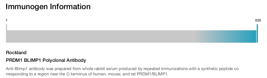 PRDM1 BLIMP1 Polyclonal Antibody