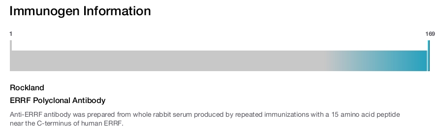 ERRF Polyclonal Antibody