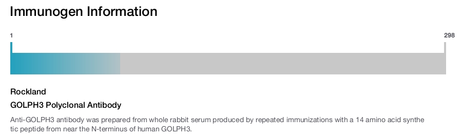 GOLPH3 Polyclonal Antibody