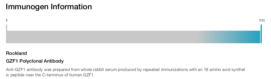 GZF1 Polyclonal Antibody