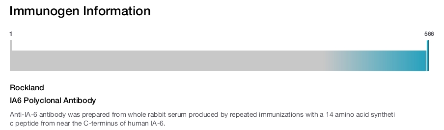 IA6 Polyclonal Antibody