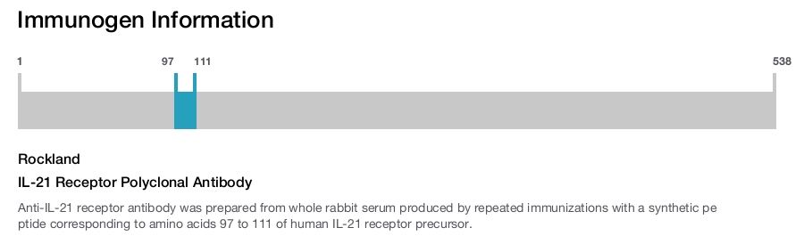 IL-21 Receptor Polyclonal Antibody