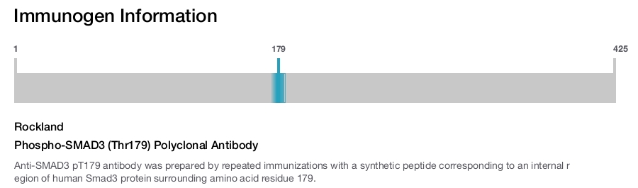 Phospho-SMAD3 (Thr179) Polyclonal Antibody