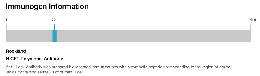 HICE1 Polyclonal Antibody