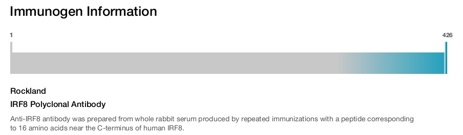 IRF8 Polyclonal Antibody