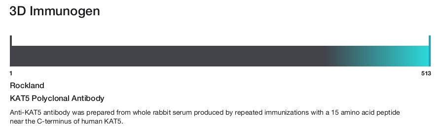 KAT5 Polyclonal Antibody
