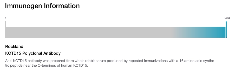 KCTD15 Polyclonal Antibody