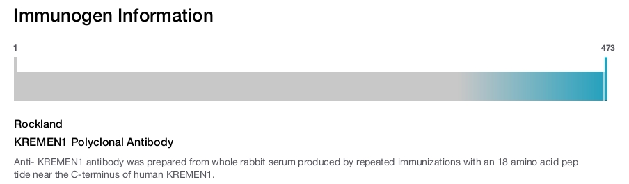 KREMEN1 Polyclonal Antibody