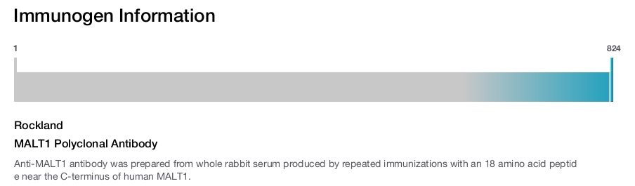 MALT1 Polyclonal Antibody