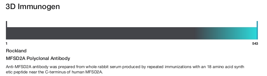 MFSD2A Polyclonal Antibody