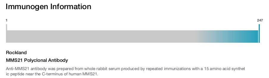 MMS21 Polyclonal Antibody