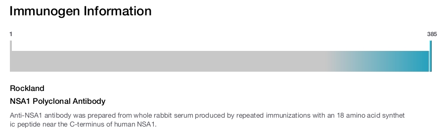 NSA1 Polyclonal Antibody